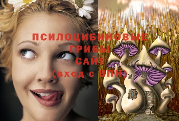 хмурый Абдулино