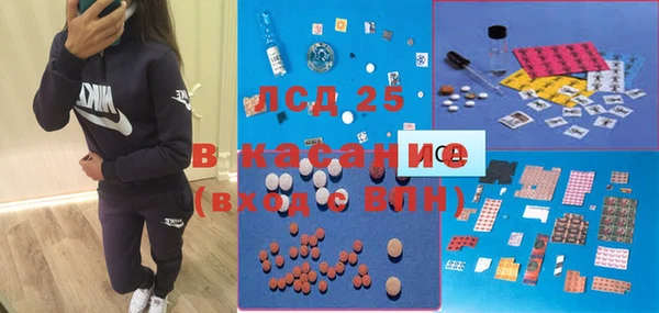 прущие грибы Алексеевка