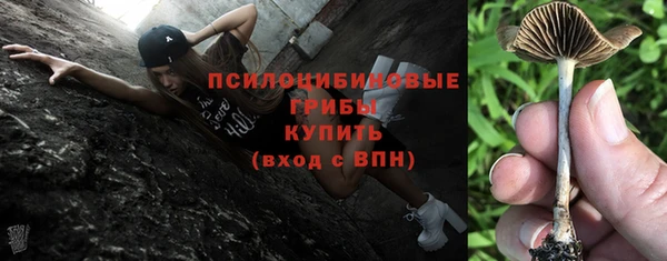 круглые Алзамай