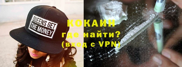прущие грибы Алексеевка