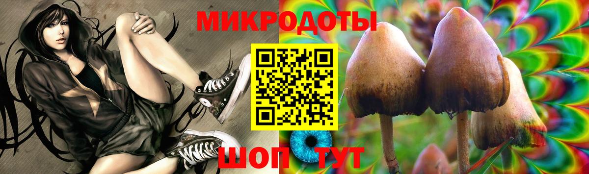 Галлюциногенные грибы ЛСД  Вход с VPN  купить  цена  Псилоцибиновые грибы MAGIC MUSHROOMS  Астрахань 