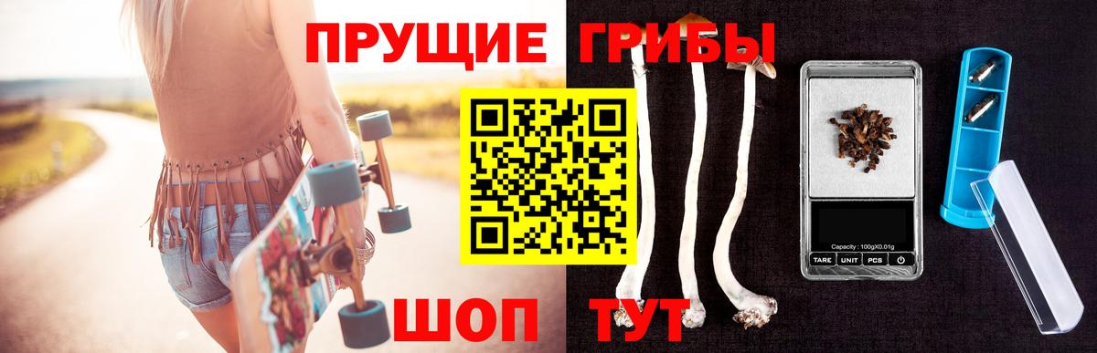 Галлюциногенные грибы Psilocybe Астрахань